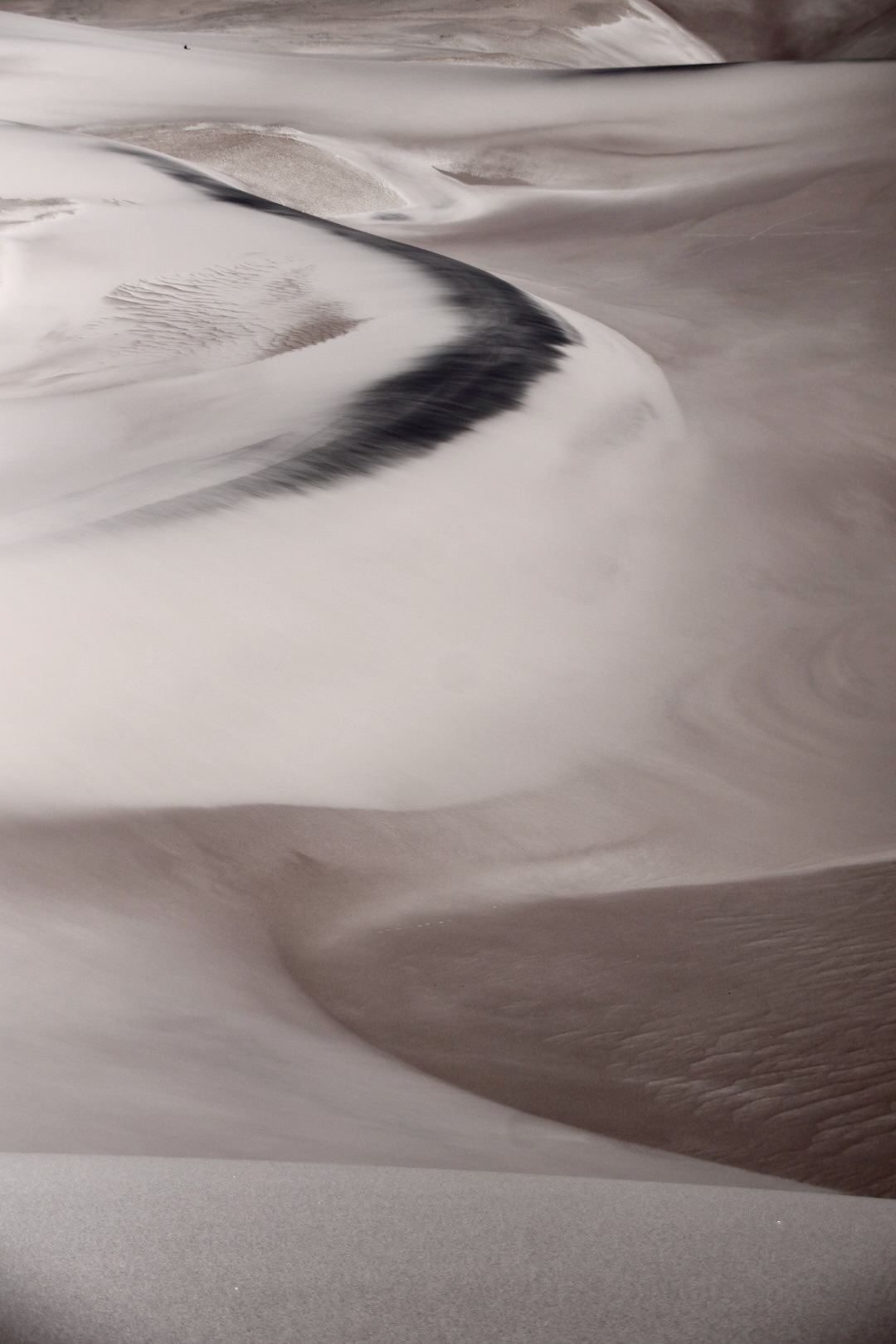 Puna Landscapes - Geometries and Cartographies